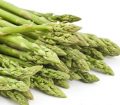 Mencegah Kanker Serviks Dengan Nikmatnya Asparagus