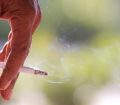 jenis kanker akibat rokok